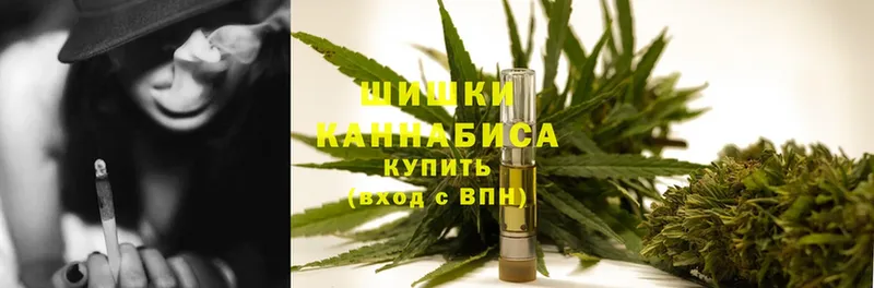 Конопля White Widow  наркотики  Барыш 